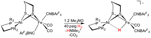 Reaction for NiFe model containing cyanide cofactors